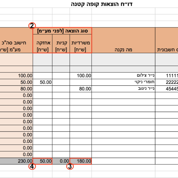 דוח הוצאות קופה קטנה – צילום מסך עם מספור להסברים